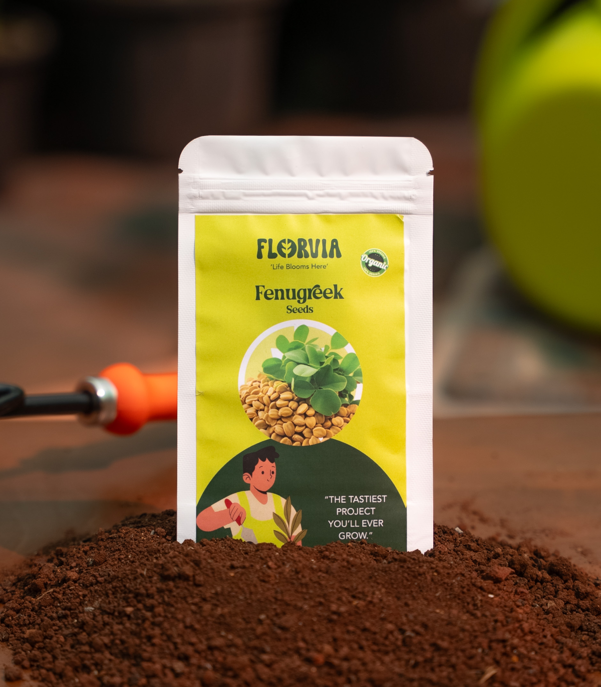 Fenugreek seeds (methi)