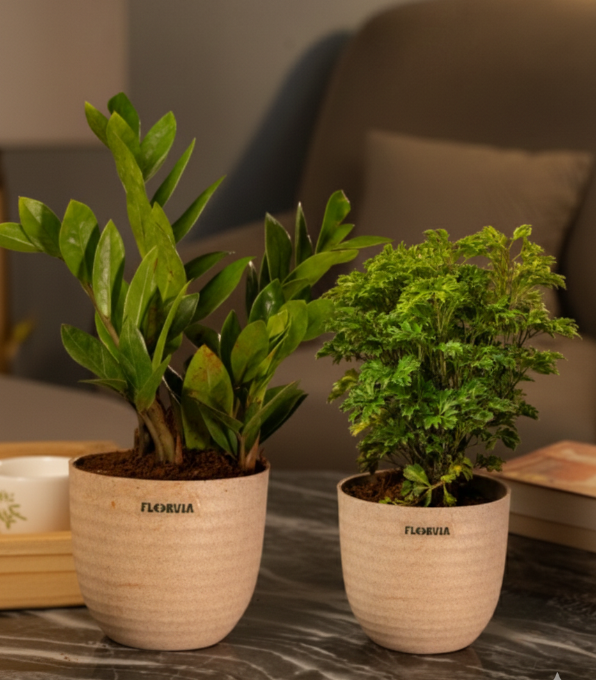 Low maintenance combo (set of 2 )